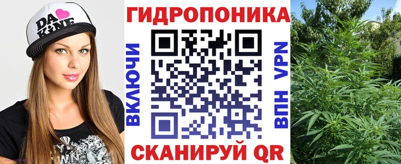 Наркошоп купить ГАШ  Alpha-PVP  Мефедрон  Кокаин  Елизово