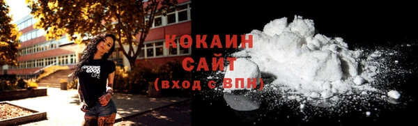 молекула духа Протвино