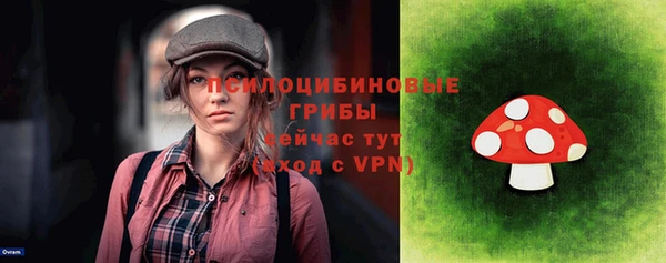 синтетический гашиш Приозерск