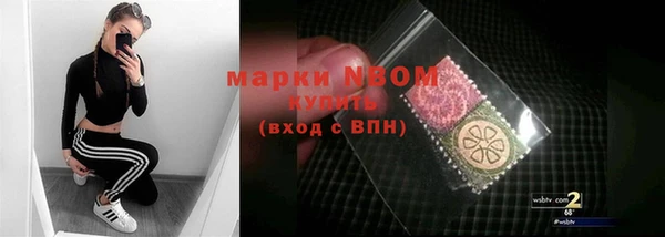 молекула духа Протвино