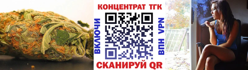 Купить закладки  Елизово  ТГК концентрат 