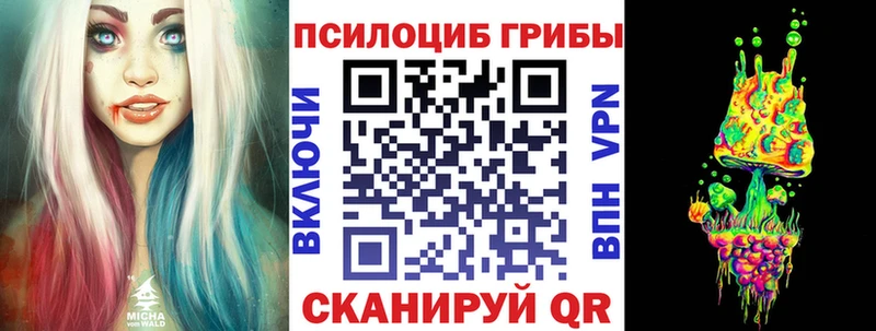 Купить  Елизово  Галлюциногенные грибы Magic Shrooms 
